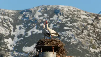 Esta es la mejor foto del tiempo del mes de febrero Esta es la mejor foto del tiempo del mes de febrero
