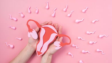 ¿En qué se fijan ginecólogas y matronas para estudiar la fertilidad de una mujer? 