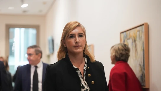 La consellera de Justicia e Interior, Salomé Pradas La consellera de Justicia e Interior, Salomé Pradas