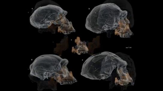 Atapuerca