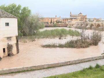 El río Guadalquivir a su paso por Córdoba