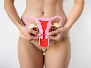 Aparato reproductor femenino