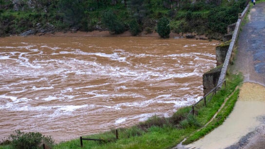 Imagen del caudal del r&iacute;o Odiel.