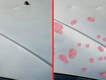 Fraude seguro Fraude seguro