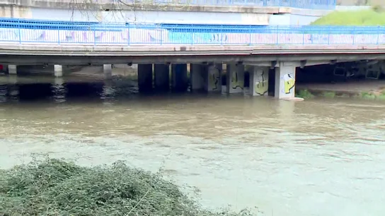 Río manzanares Río manzanares