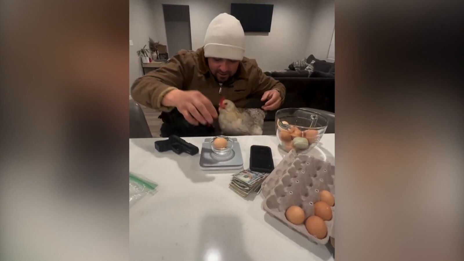 La parodia viral con las gallinas ante la escasez de huevos en EE.UU: 
