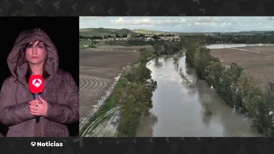 Situación en Andalucía