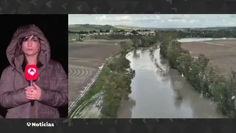 Situación en Andalucía Situación en Andalucía