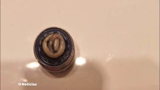 Aparece un gusano en el filtro del grifo de un vecino de la localidad riojana de Och&aacute;nduri