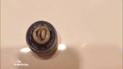 Aparece un gusano en el filtro del grifo de un vecino de la localidad riojana de Ochánduri Aparece un gusano en el filtro del grifo de un vecino de la localidad riojana de Ochánduri