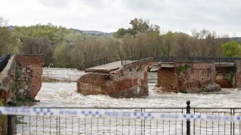 Vista del puente viejo o 'romano' derrumbado por la crecida del río Tajo a su paso por Talavera de la Reina, este domingo. Vista del puente viejo o 'romano' derrumbado por la crecida del río Tajo a su paso por Talavera de la Reina, este domingo.
