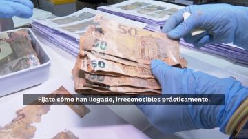 Billetes DANA