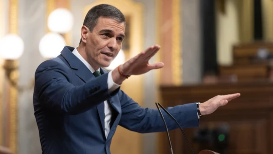 El presidente del Gobierno, Pedro Sánchez, interviene durante una sesión plenaria en el Congreso de los Diputados El presidente del Gobierno, Pedro Sánchez, interviene durante una sesión plenaria en el Congreso de los Diputados