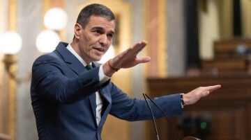 El presidente del Gobierno, Pedro S&aacute;nchez, interviene durante una sesi&oacute;n plenaria en el Congreso de los Diputados