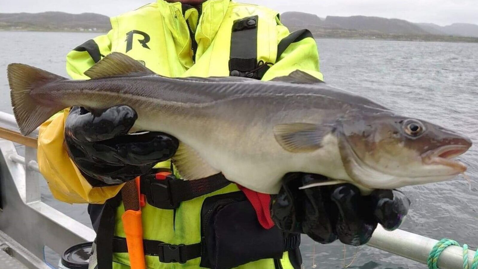 El bacalao, uno de los pescados con mayor demanda por la Cuaresma