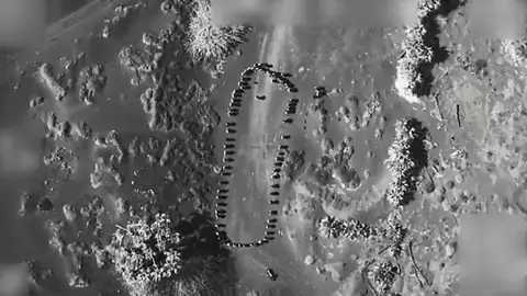 hutíes trump hutíes trump