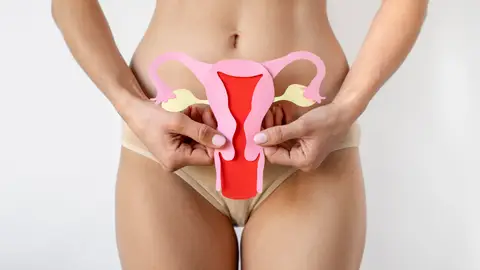 Aparato reproductor femenino Aparato reproductor femenino