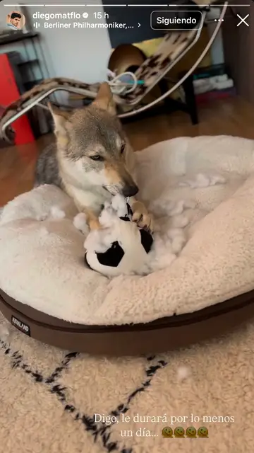 Historia de: @diegomatflo Historia de: @diegomatflo