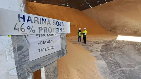 Cuál sería el impacto de los aranceles en la industria ganadera española: “Quien controla la soja mueve el mundo” Cuál sería el impacto de los aranceles en la industria ganadera española: “Quien controla la soja mueve el mundo”