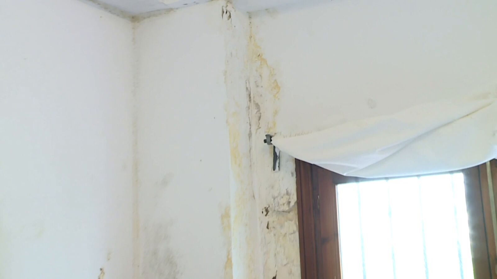 Decretan el cierre de una residencia en Málaga: 