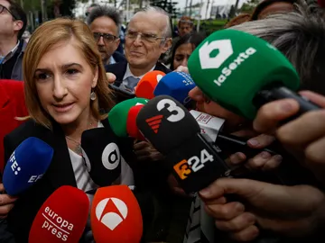 La exconsellera de Justicia e Interior del Gobierno valenciano Salomé Pradasa su llegada a los juzgados de València La exconsellera de Justicia e Interior del Gobierno valenciano Salomé Pradasa su llegada a los juzgados de València