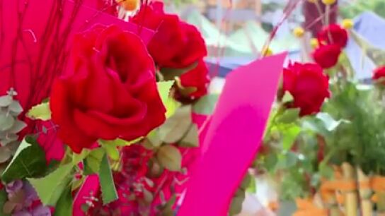 D&iacute;a del Libro y Sant Jordi