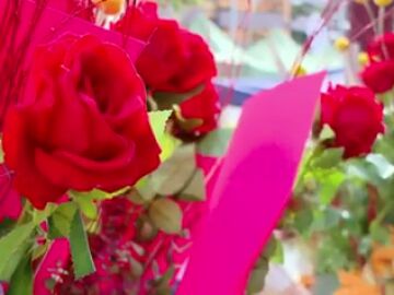 Día del Libro y Sant Jordi