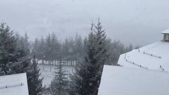 Nieve