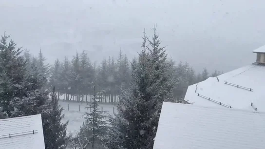 Nieve Nieve