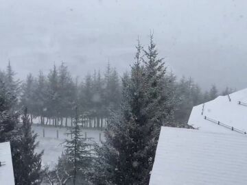 Nieve