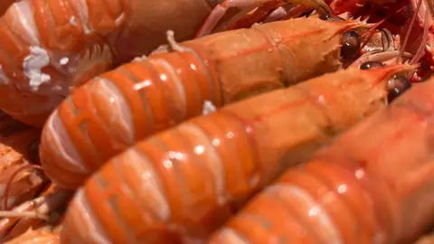 Imagen de archivo de marisco Imagen de archivo de marisco