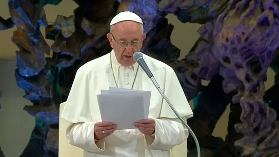 papa Francisco papa Francisco