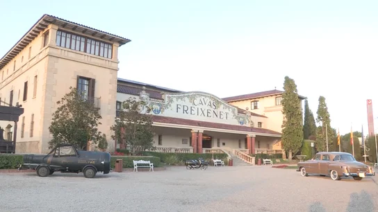 Cavas Freixenet Antena 3 Noticias