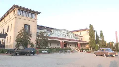 Cavas Freixenet Antena 3 Noticias