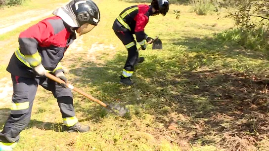 Estudiantes de Formación Profesional de Emergencias Estudiantes de Formación Profesional de Emergencias