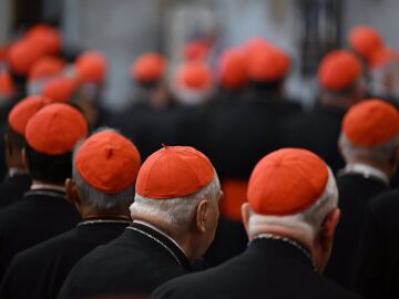 El cardenal bosnio Puljic participará en el Cónclave a pesar de estar muy enfermo y podría votar desde Santa Marta