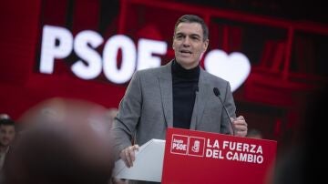 El secretario general del PSOE y presidente del Gobierno, Pedro Sánchez
