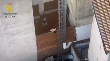 Imagen del detenido huyendo por los tejados. Imagen del detenido huyendo por los tejados.