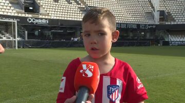 Dani fan
