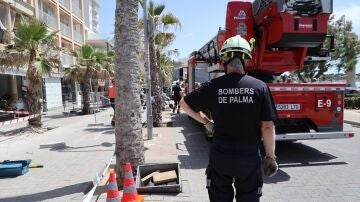 Bomberos de Palma