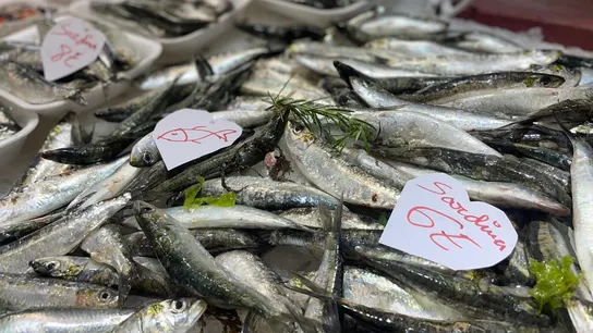 Pescado Pescado