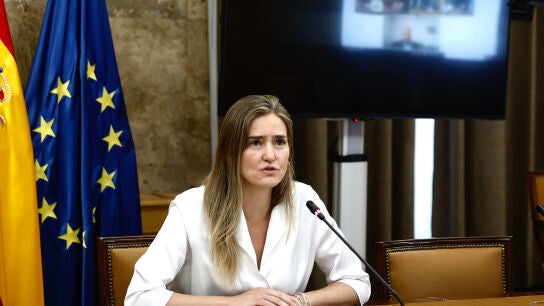 Ministra de Transici&oacute;n Ecol&oacute;gica