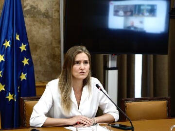 Ministra de Transición Ecológica