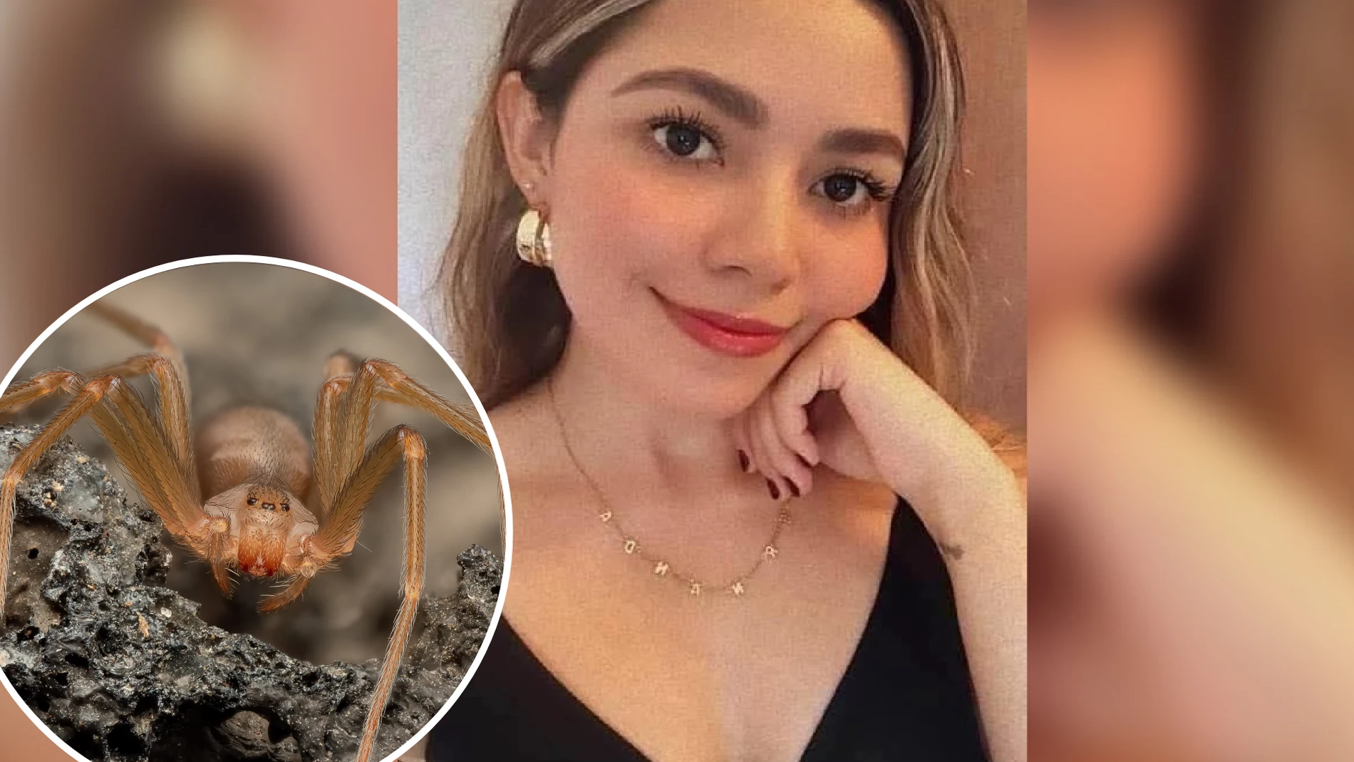 Fotografía de María Fernanda Vázquez junto a una araña violinista Fotografía de María Fernanda Vázquez junto a una araña violinista