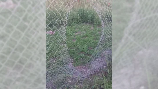 Robo de cable en las vías del AVE Antena 3 Noticias