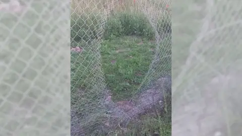 Robo de cable en las vías del AVE Antena 3 Noticias