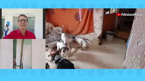 Finca horrores Málaga Finca horrores Málaga