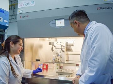 Un biogel que acelera la cicatrización de heridas Un biogel que acelera la cicatrización de heridas