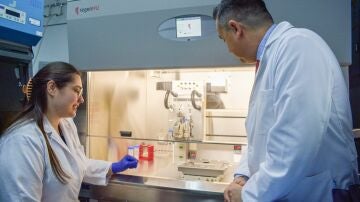 Un biogel que acelera la cicatrización de heridas