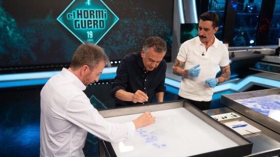 &iexcl;Espectacular! Marron convierte una simple hoja en "un barco que navega"